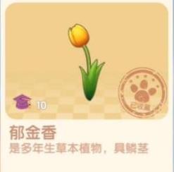 摩尔庄园手游郁金香怎么得（摩尔庄园手游剧情攻略）