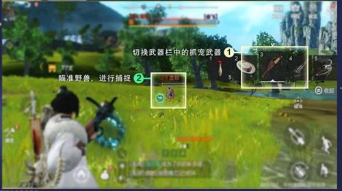 妄想山海宠物怎么抓永久（妄想山海宠物怎么升级）