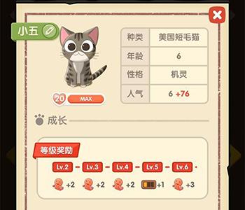 猫语咖啡小五怎么样（猫小五玩具屋怎么样）