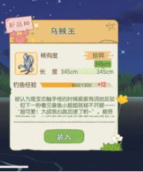 小森生活乌贼王在哪钓（小森生活钓鱼怎么钓）
