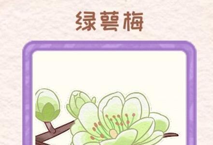 花店物语绿萼梅怎么获得（花店物语绿萼梅在哪里）