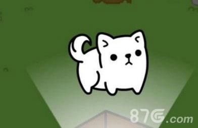 微信萌犬变变变怎么一转（微信萌犬变变变辅助）