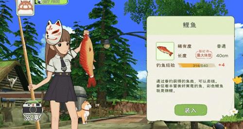 小森生活鱼肉怎么获得（小森生活高级鱼肉）