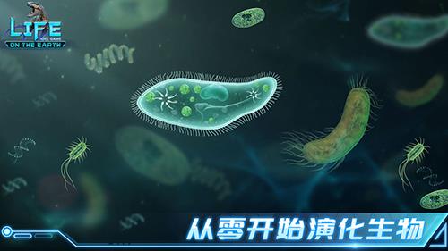 生命简史开局小技巧分享（生命简史游戏）