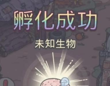 最强蜗牛宠物小屋三样东西怎么找 最强蜗牛宠物小屋