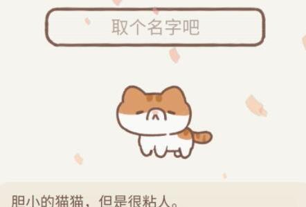 遇见你的猫小鱼干怎么获得（遇见你的猫怎么用小鱼干招猫）