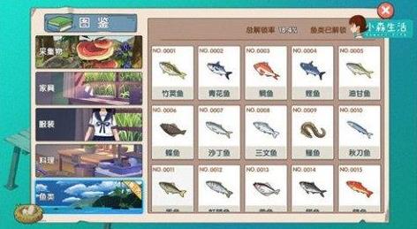 小森生活沙丁鱼多少秒（小森生活沙丁鱼哪里多）