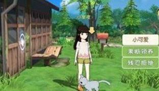 小森生活最多养几只猫（小森生活最多能养几只宠物）