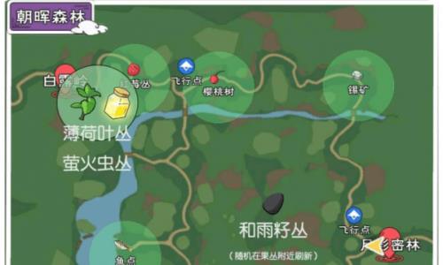 小森生活和雨籽丛在哪儿（什么的森森）