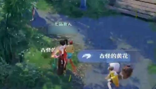 梦幻新诛仙古怪的黄花任务怎么做（梦幻新诛仙探灵古怪的黄花）
