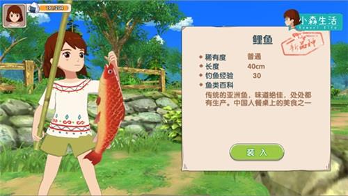 小森生活三级收纳箱怎么获得 小森生活收纳箱三级需要什么