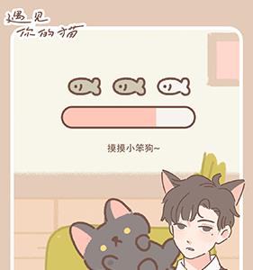 遇见你的猫