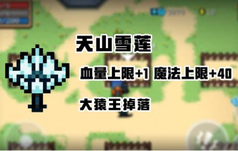 元气骑士天山雪莲是一次性的吗 元气骑士天山雪莲永久吗