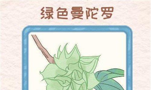 花店物语花种怎么获得