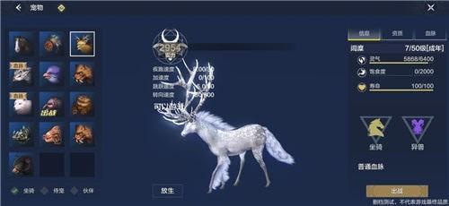妄想山海宠物怎么进化（妄想山海哪些宠物可以进化）