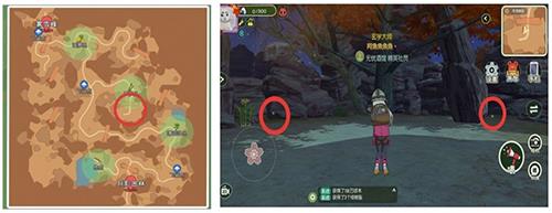 小森生活稀有虫点在哪儿3