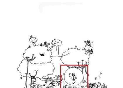 隐藏的人森林第1关攻略 森林隐藏成就