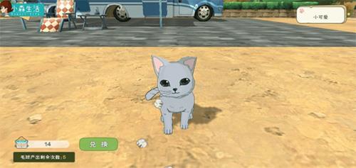 小森生活猫咪选美怎么参加4