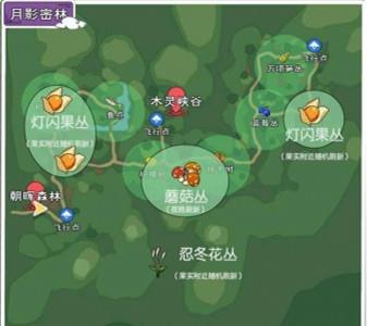 小森生活蘑菇在哪里（小森生活蘑菇房领取）