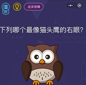 微信脑力大作战第80关怎么过（微信脑力大作战答案）