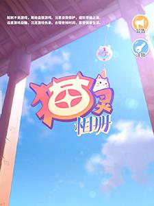 猫灵相册新手怎么玩（猫灵相册正式版要多久）