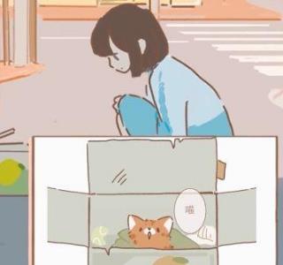 遇见你的猫爱心怎么获得（遇见你的猫攻略）