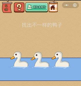 脑力大乱斗X第39关