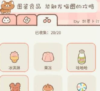 遇见你的猫准考证号怎么填（遇见你的猫涂准考证号）