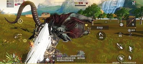 妄想山海大荒兽皮在哪（妄想山海大荒兽皮在哪）