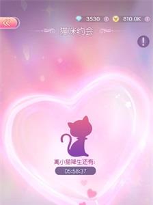 时光公主怎么照料猫咪