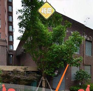 一起来捉妖祈愿鼓敲不到怎么办 一起来捉妖如何卡鼓
