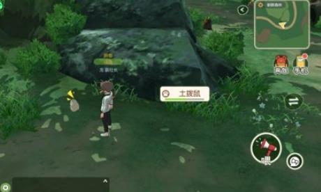小森生活土拨鼠怎么不出洞（土拨鼠住在洞里吗）