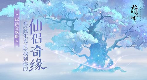玩法全攻略在此生无白找到你的仙侣奇缘（仙侣奇缘网游）