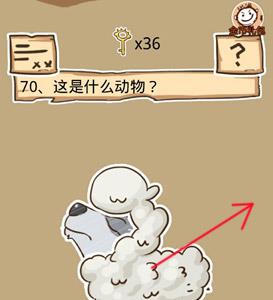 史小坑的烦恼5第70关攻略1