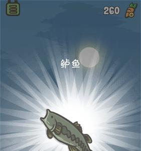 月兔冒险怎么去钓鱼5