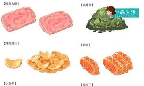 小森生活猫图片