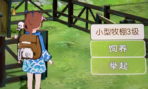 小森生活牧棚可以养什么