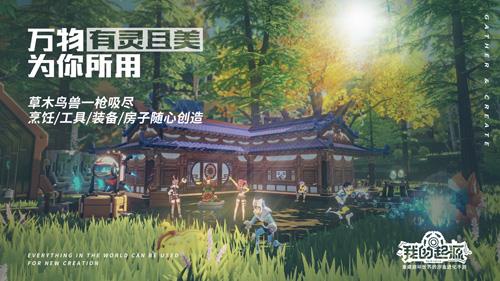 我的起源树枫龙位置