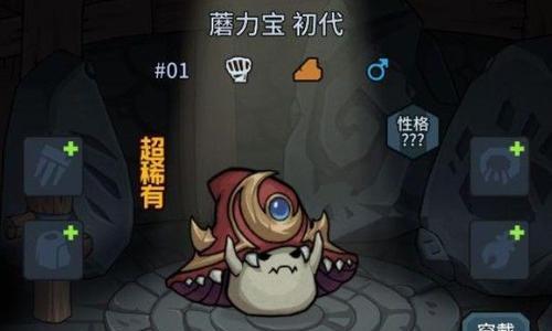 提灯与地下城宠物资质怎么看（提灯与地下城怎么看宠物资质好坏）