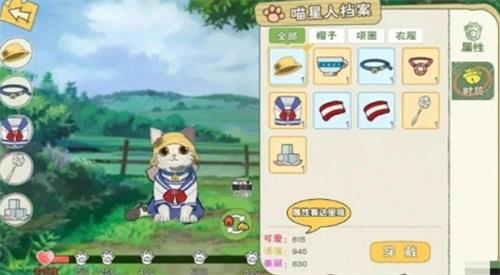 小森生活怎么领养第二只猫（领养一只猫）