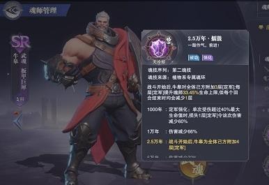 斗罗大陆魂师对决牛皋魂环怎么选择（斗罗大陆魂师对决牛皋怎么样）