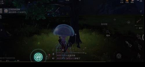 妄想山海打坐在哪里（妄想山海瑶玉在哪里）