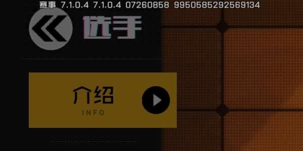 王牌战士飞将图片2