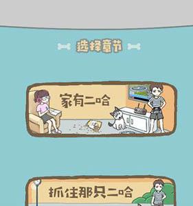 养只二哈不容易图片1