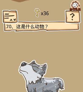 史小坑的烦恼5第70关攻略2