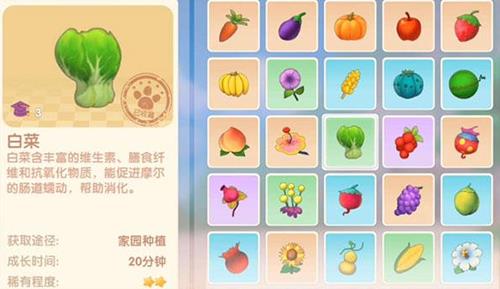摩尔庄园手游白菜怎么获得（摩尔庄园手游白菜怎么买）