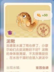 摩尔庄园泥鳅几点能钓