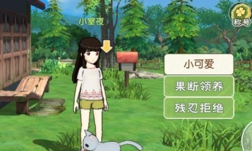 小森生活猫咪种类有哪些（小森生活怎么养猫）