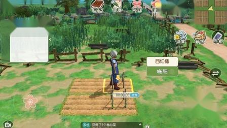 小森生活晴奈在哪（小森生活什么时候出）