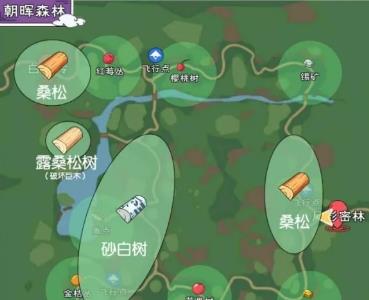 小森生活露桑松树多久刷新